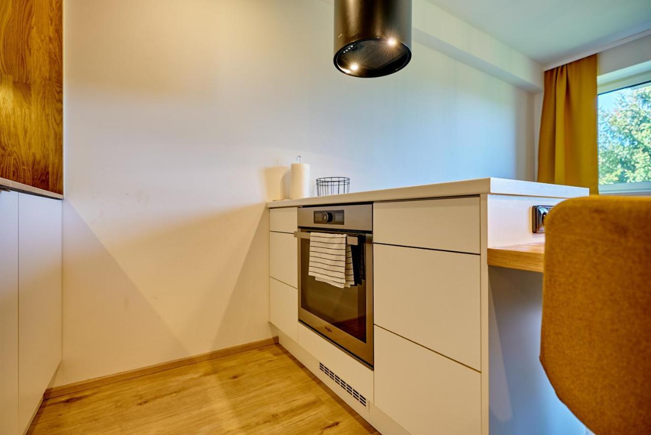 Klinovec Suite By Mountain Ways Loučná pod Klínovcem المظهر الخارجي الصورة